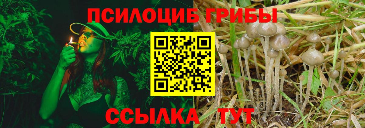 Галлюциногенные грибы GOLDEN TEACHER Зеленокумск