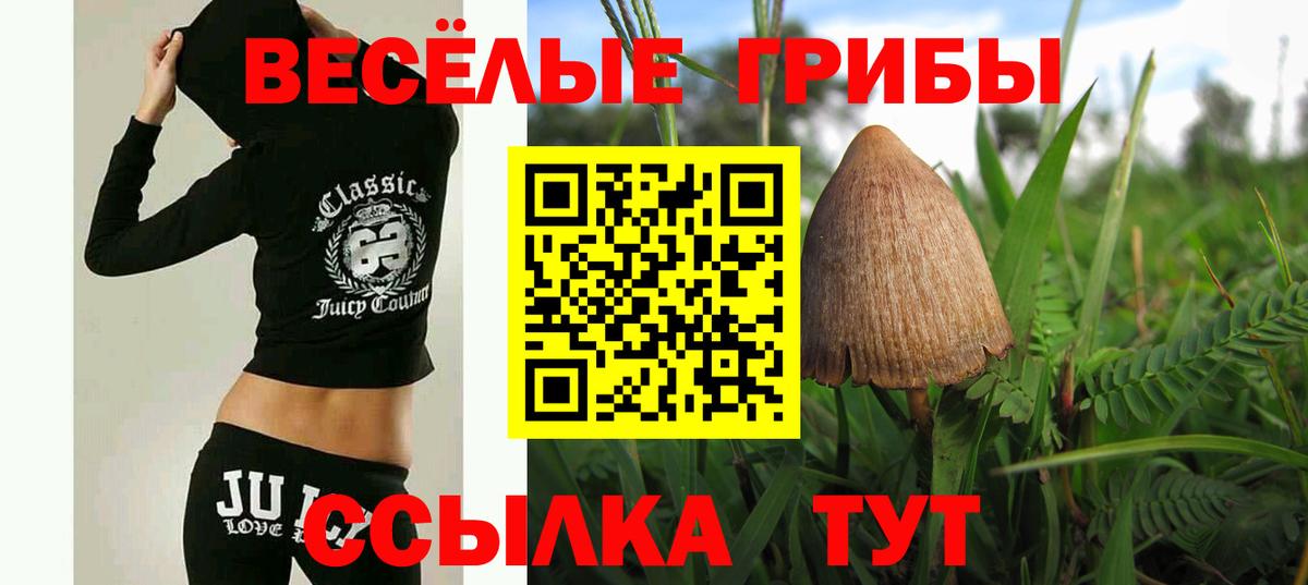 Галлюциногенные грибы Psilocybine cubensis  Вход с VPN  Зеленокумск 